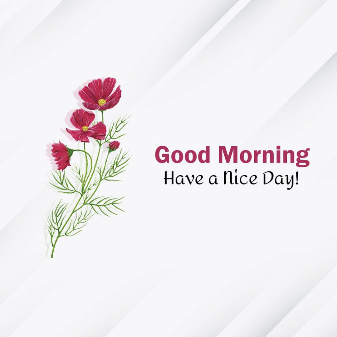 Good Morning