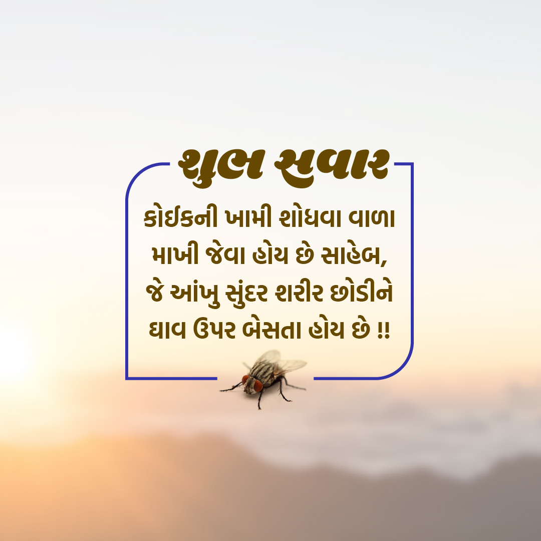 Good Morning