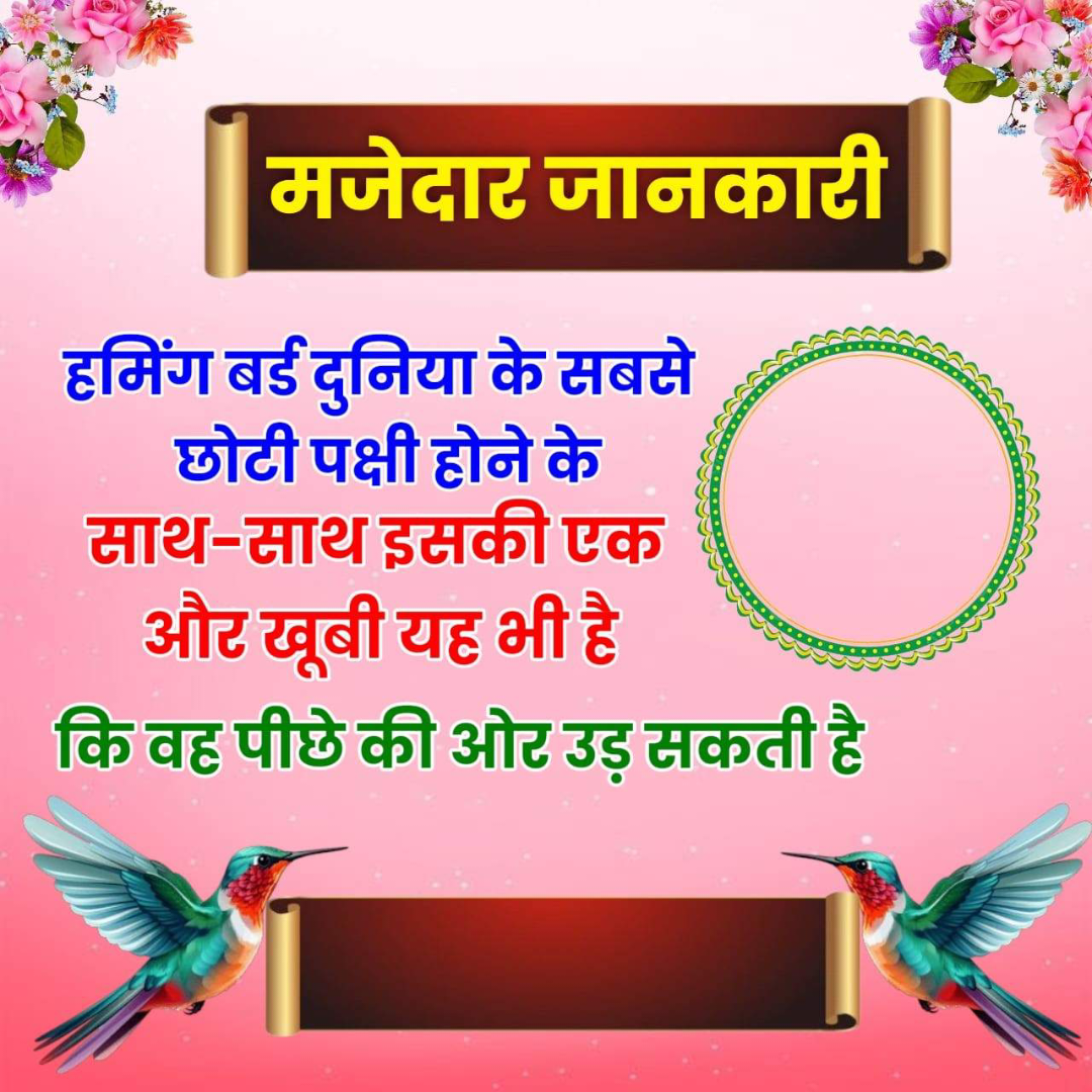 Amazing Fact