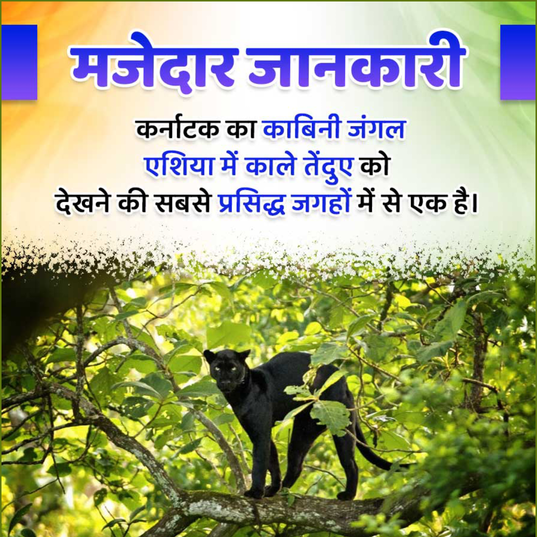 Amazing Fact