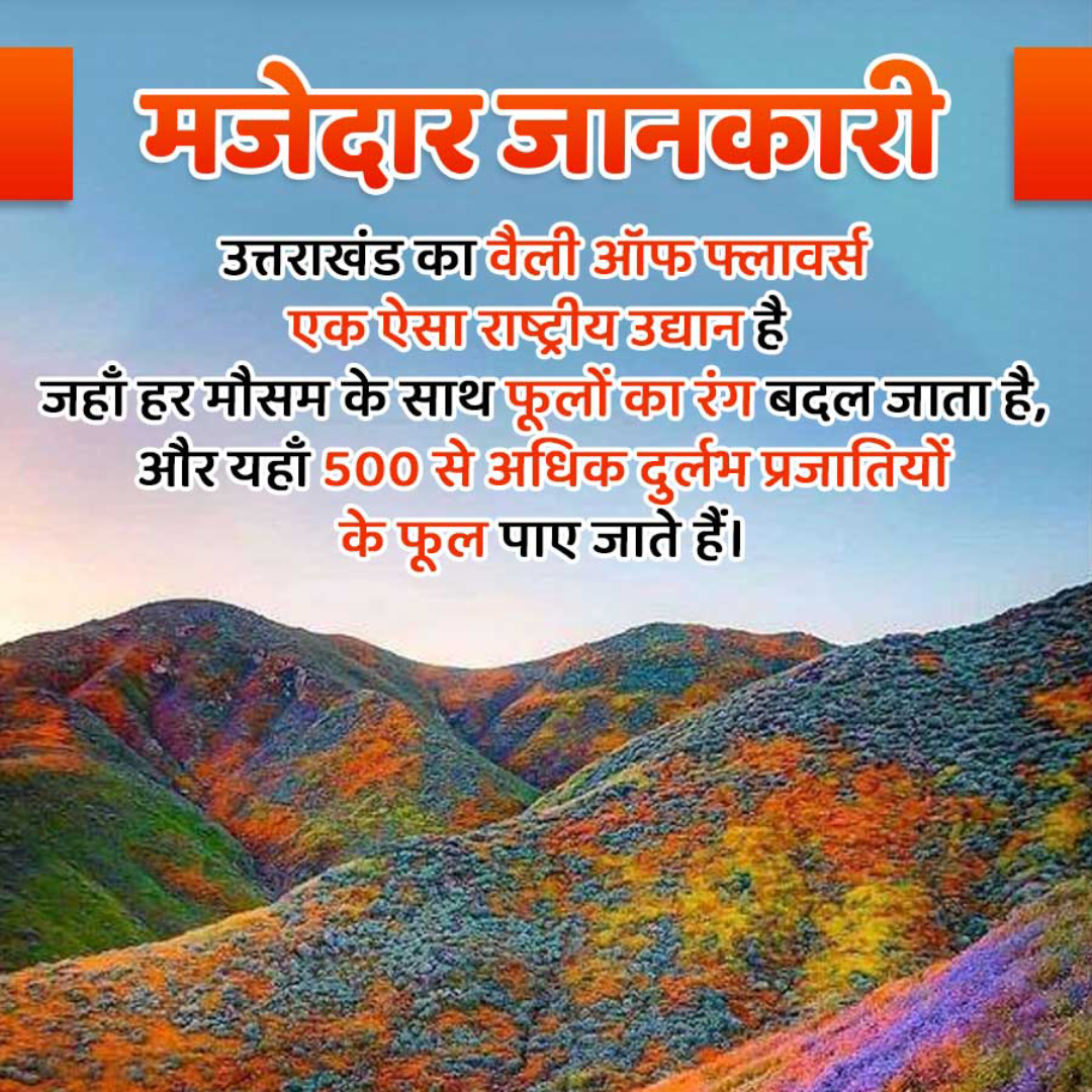 Amazing Fact