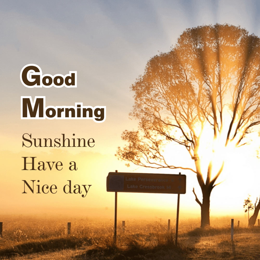 Good Morning
