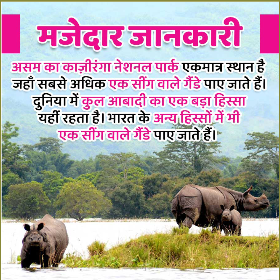 Amazing Fact