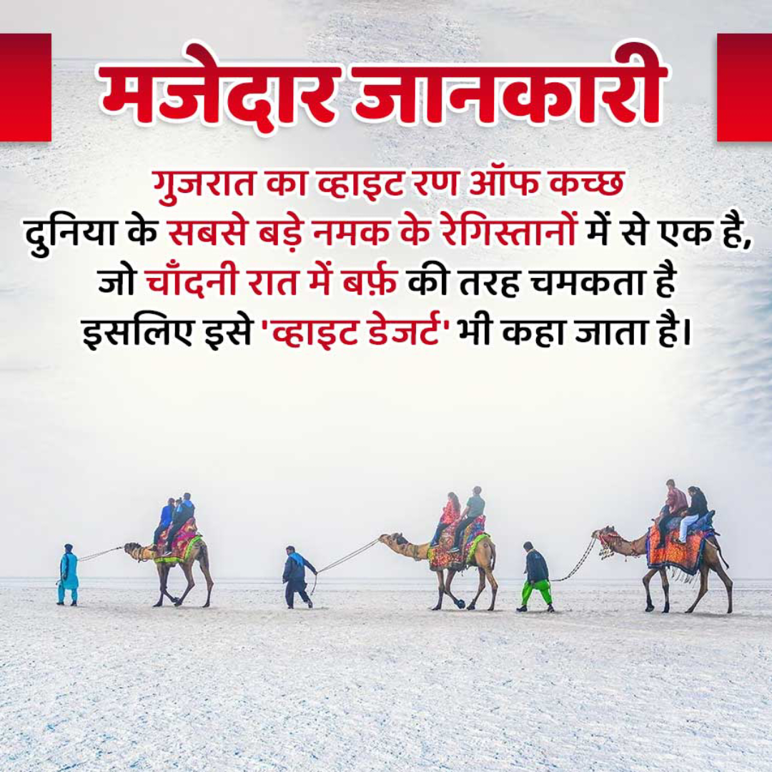 Amazing Fact