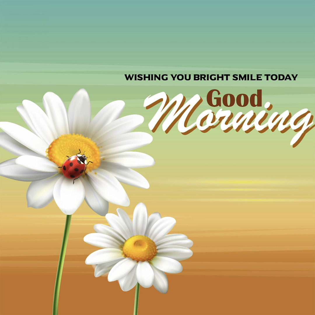 Good Morning