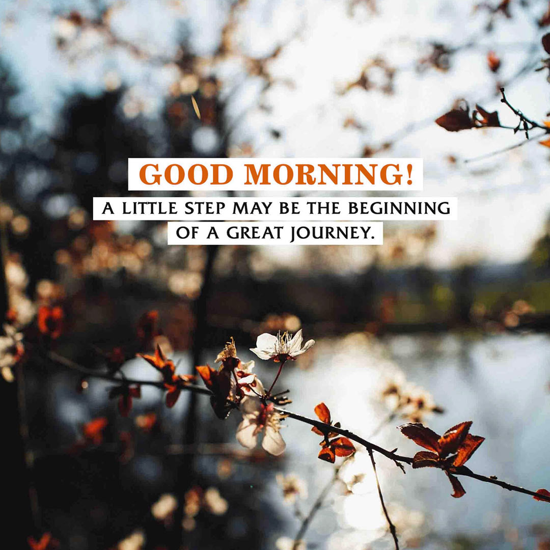 Good Morning