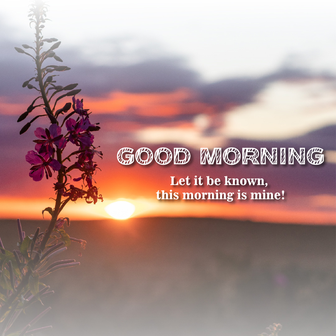 Good Morning