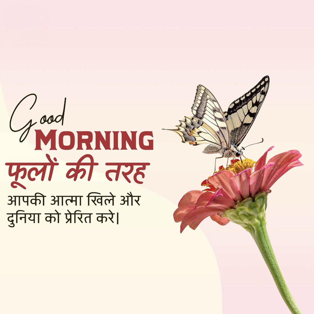 Good Morning