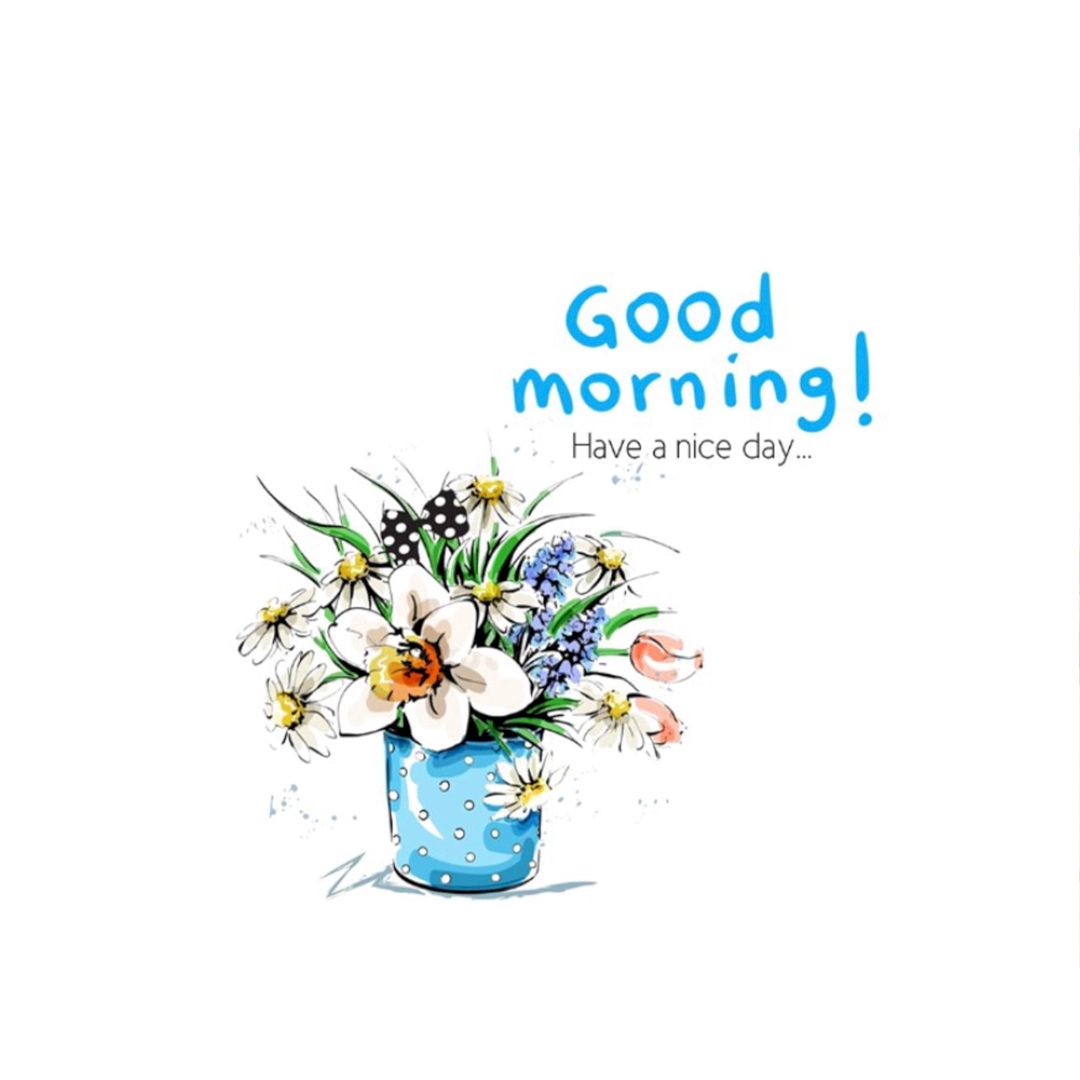 Good Morning