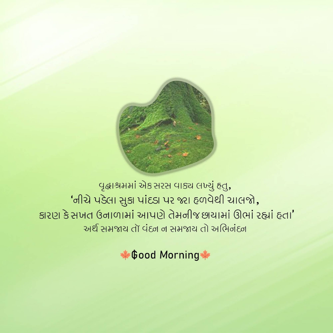 Good Morning