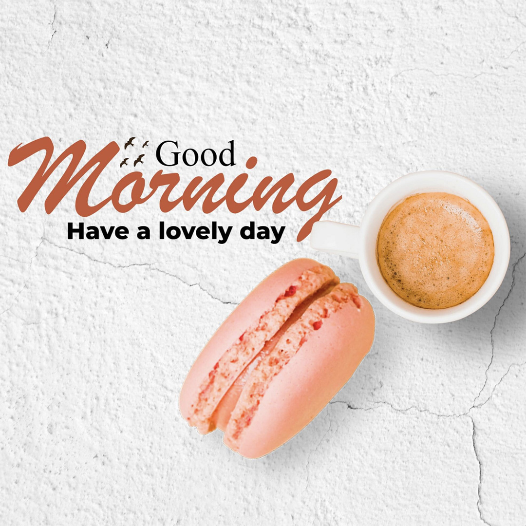 Good Morning