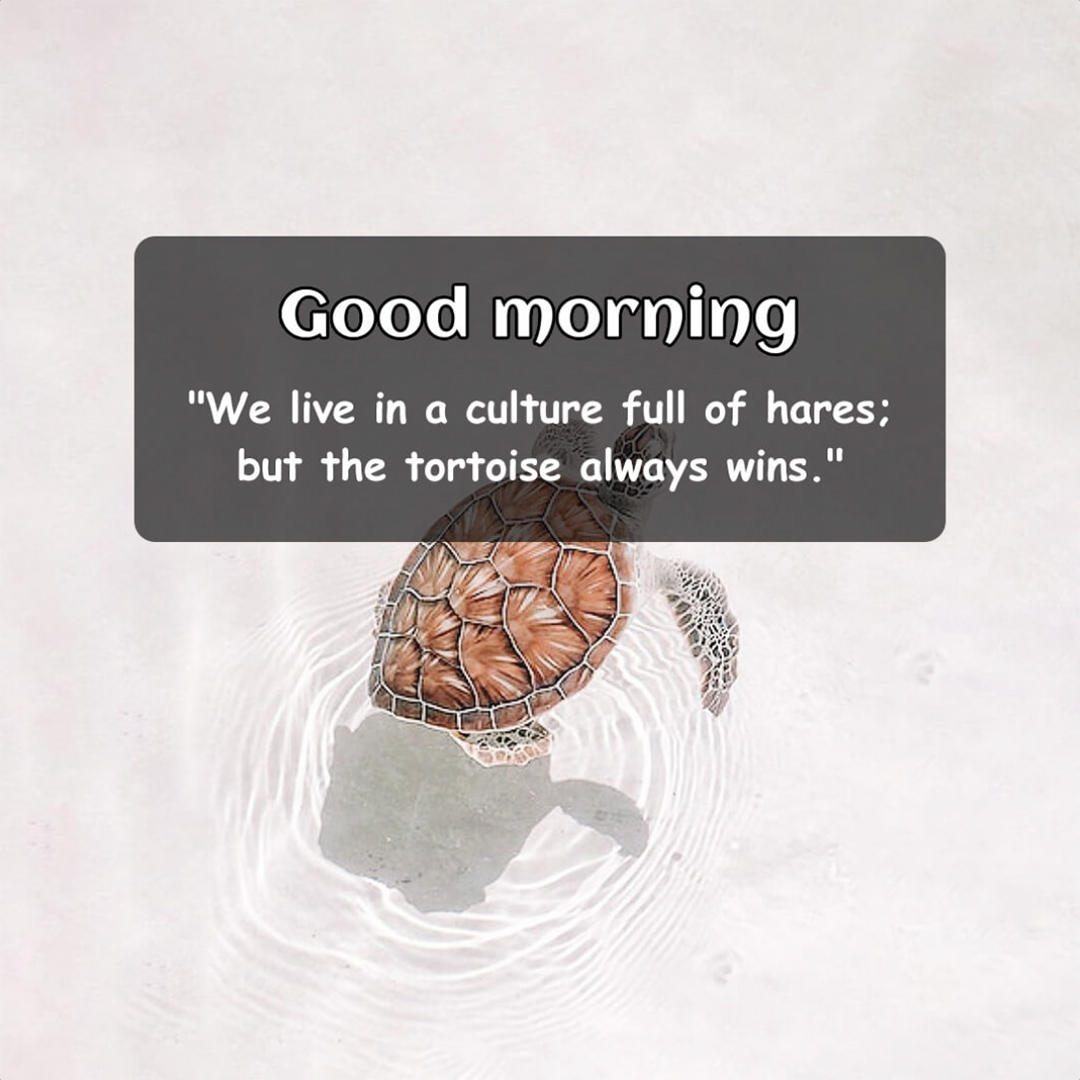 Good Morning