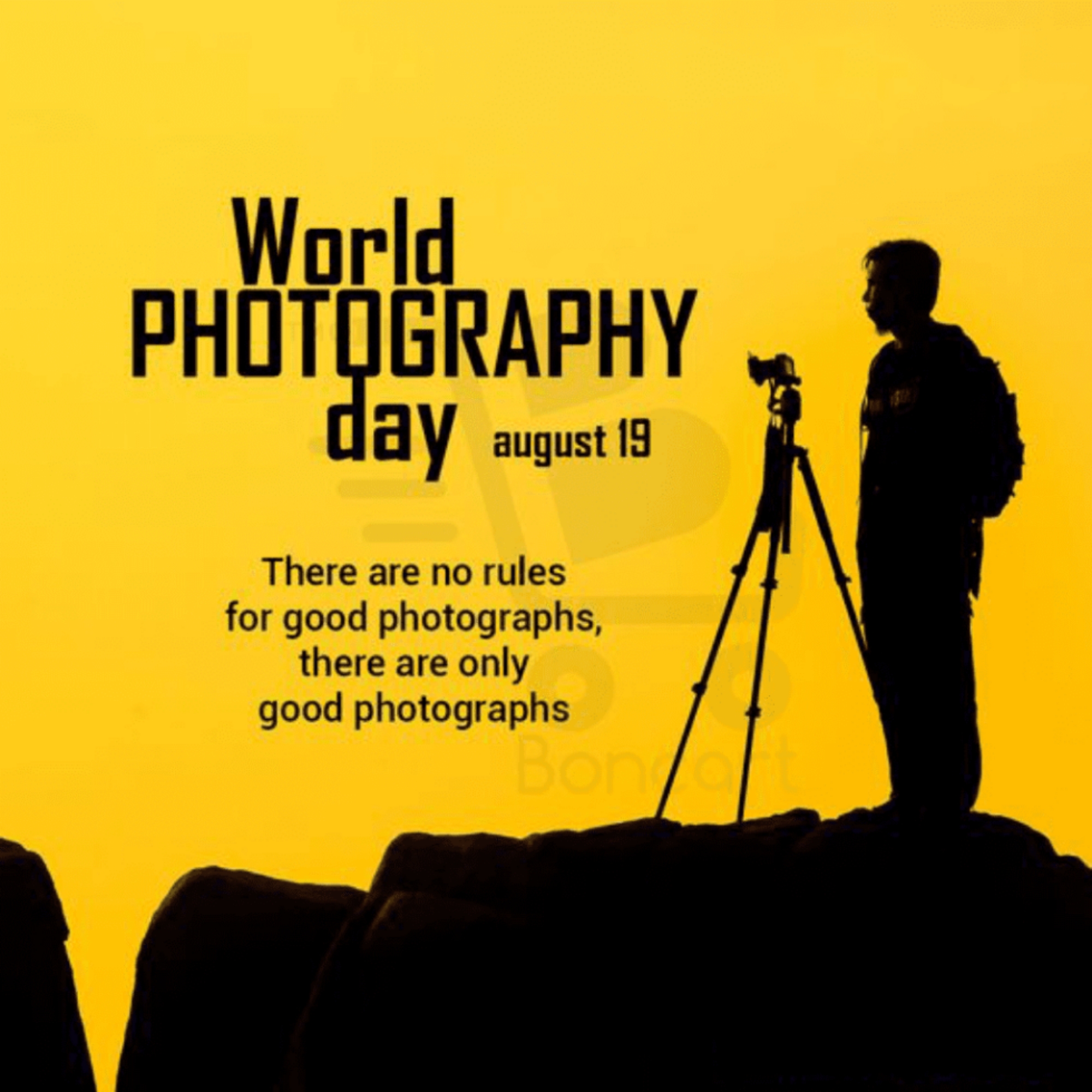 World Photography Day