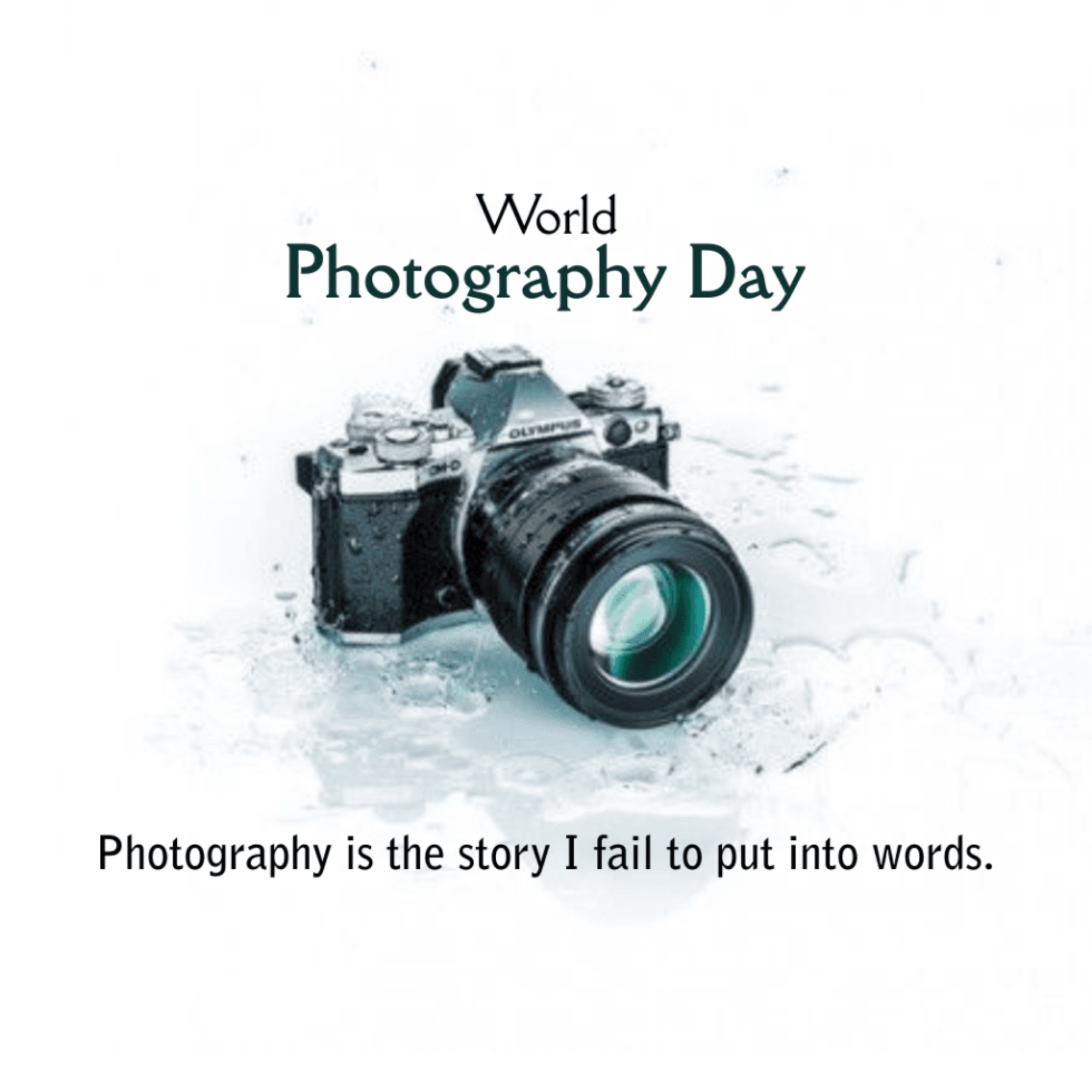 World Photography Day