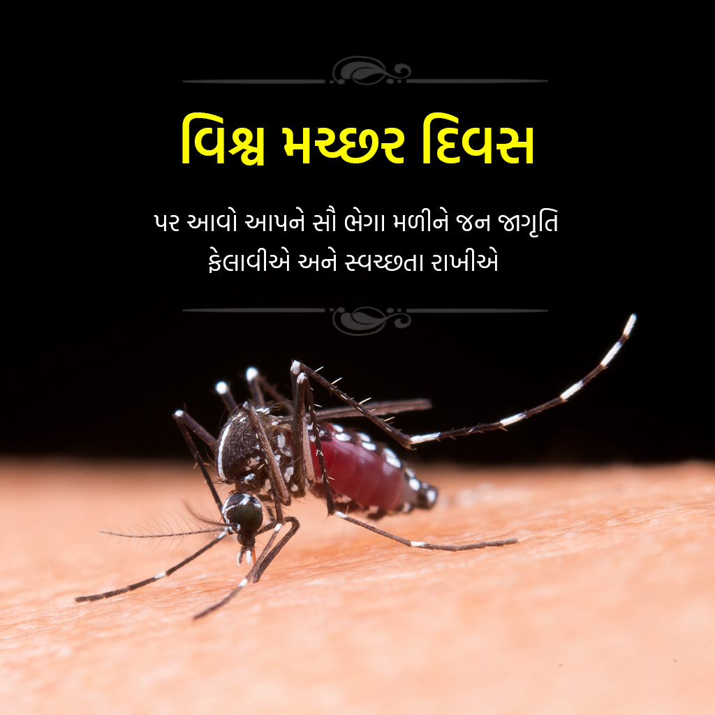World Mosquito Day