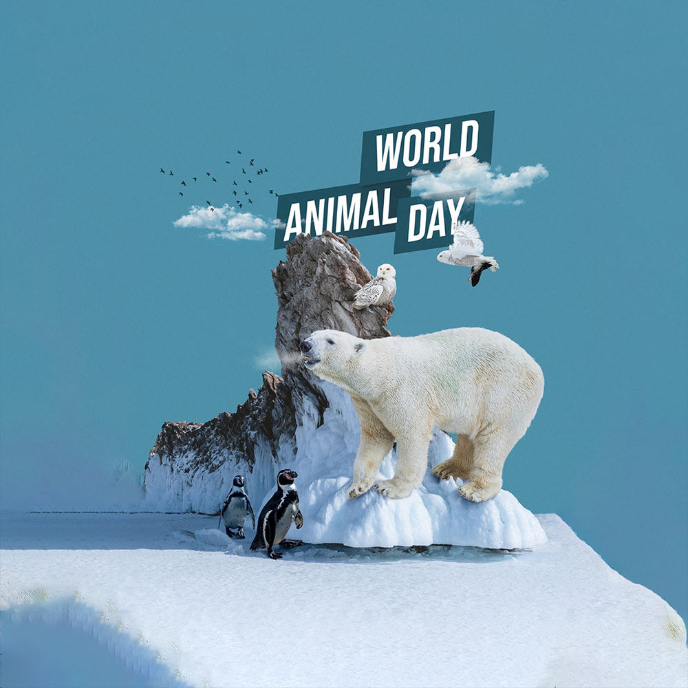 World Animal Day