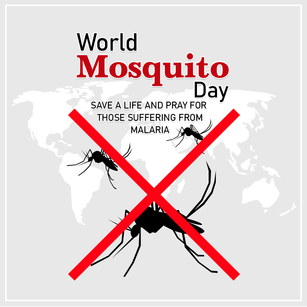 World Mosquito Day