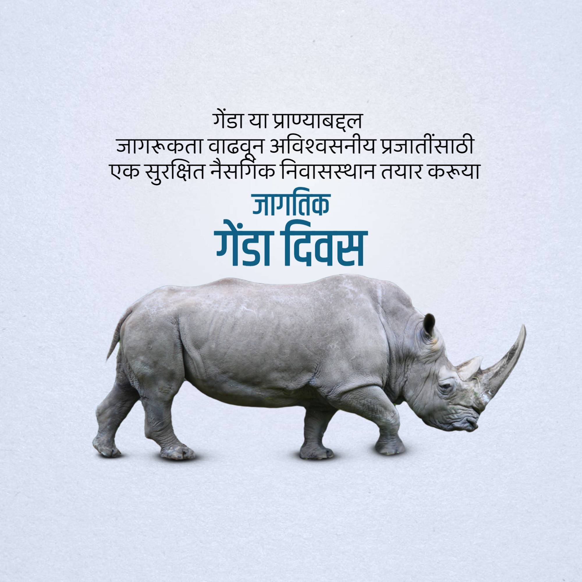 World Rhino Day