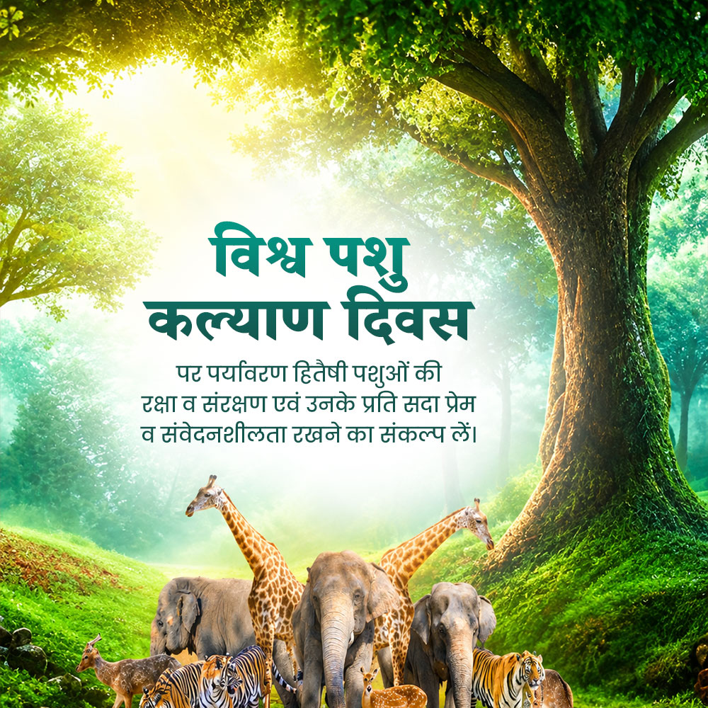 World Animal Day