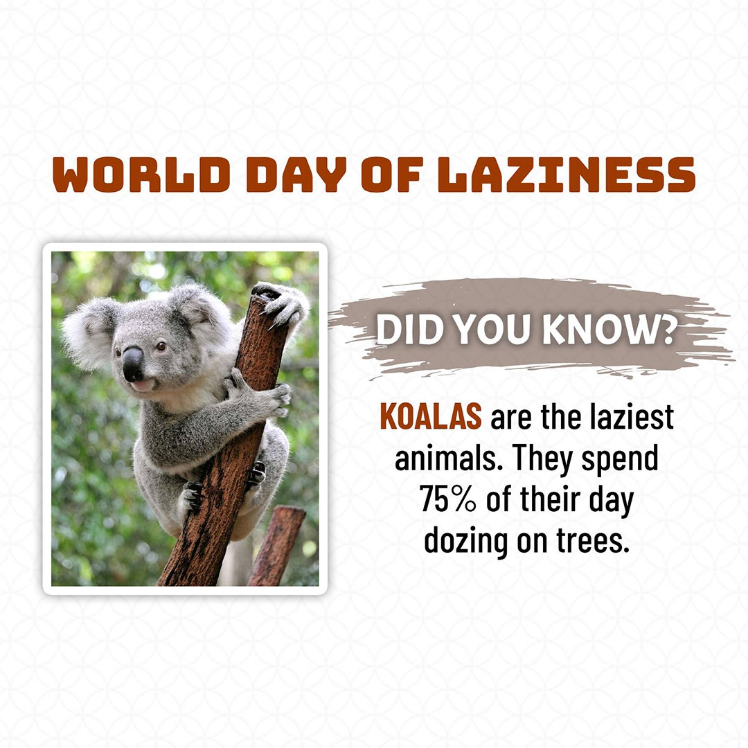 World Day Of Laziness