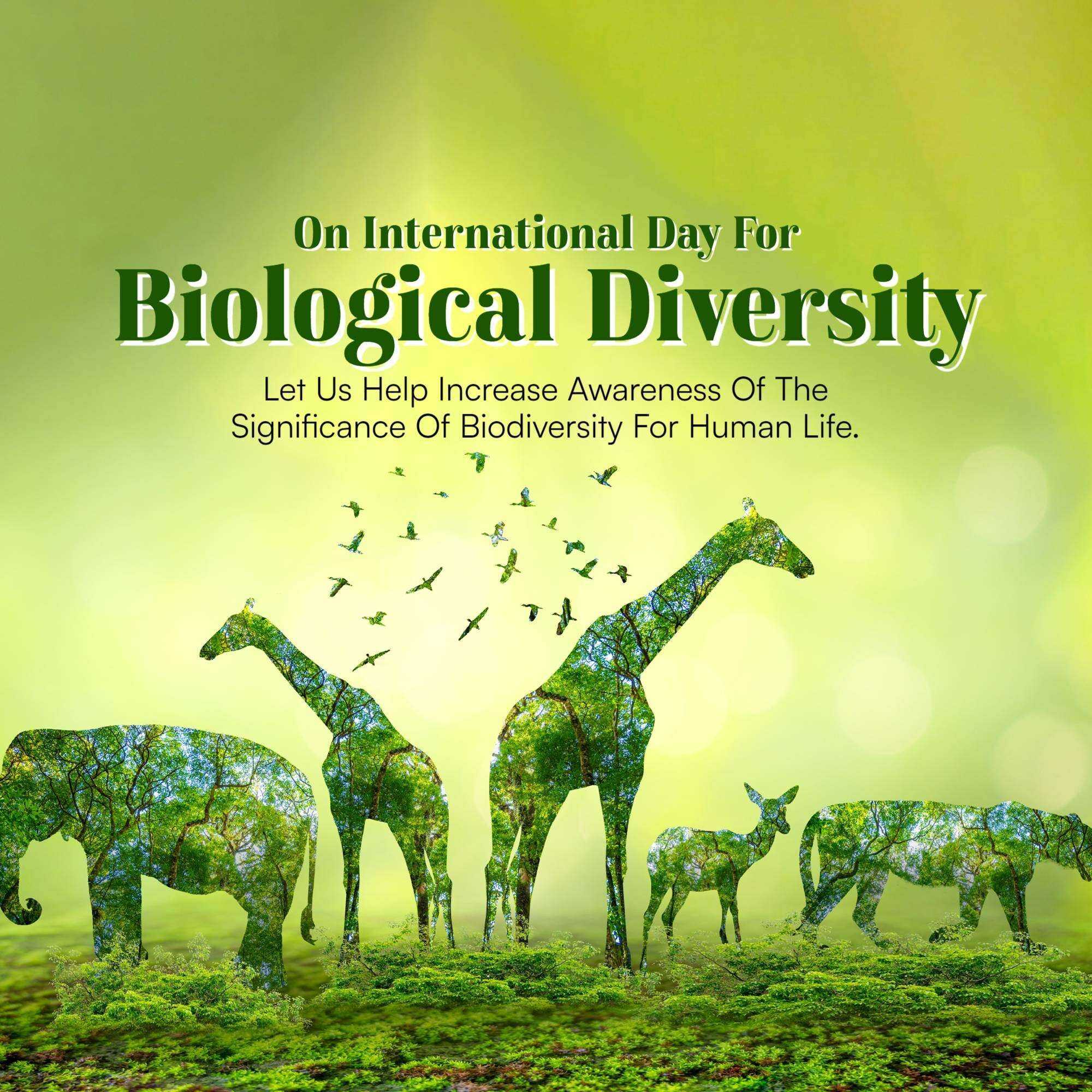 International Day For Biological Diversity