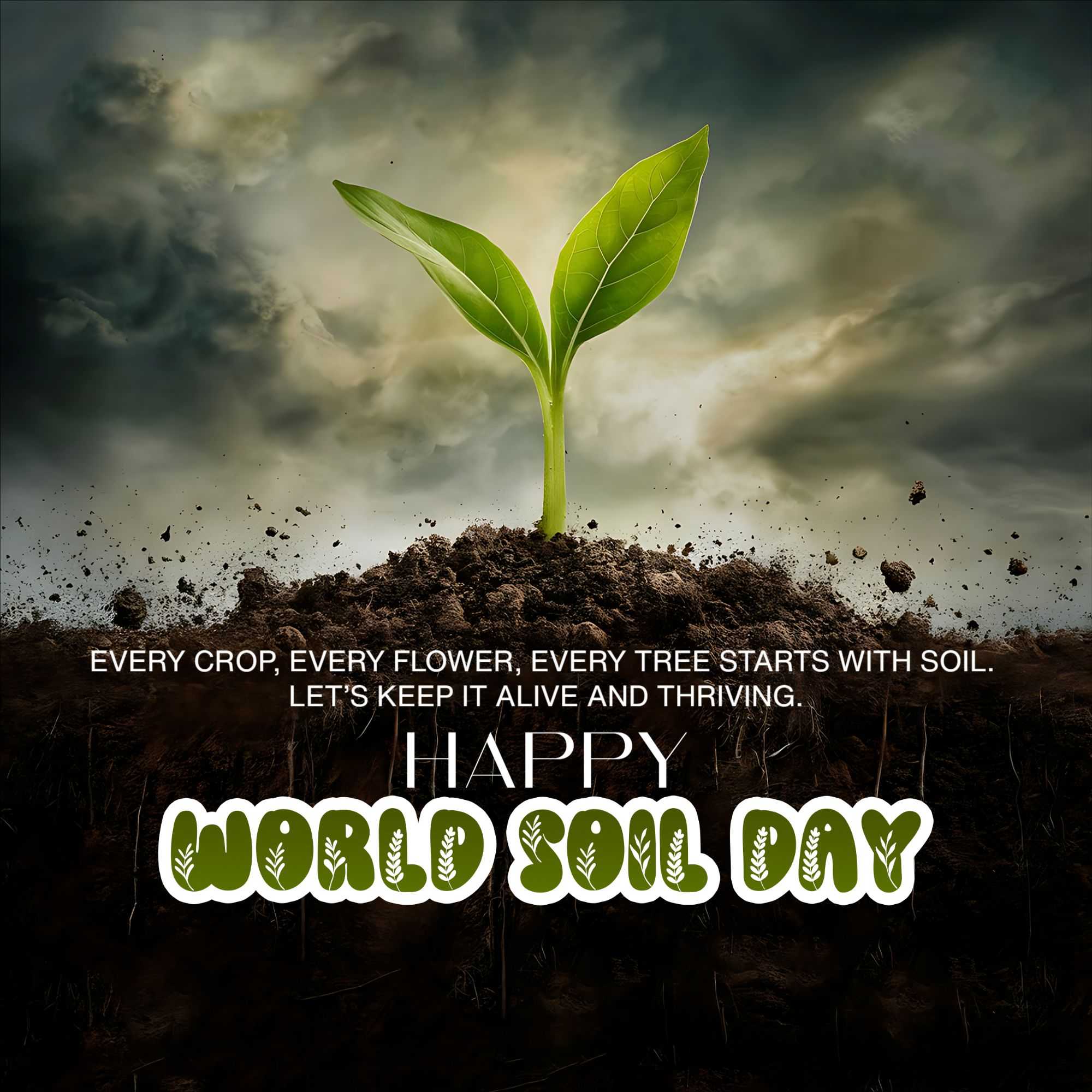 world_soil_day