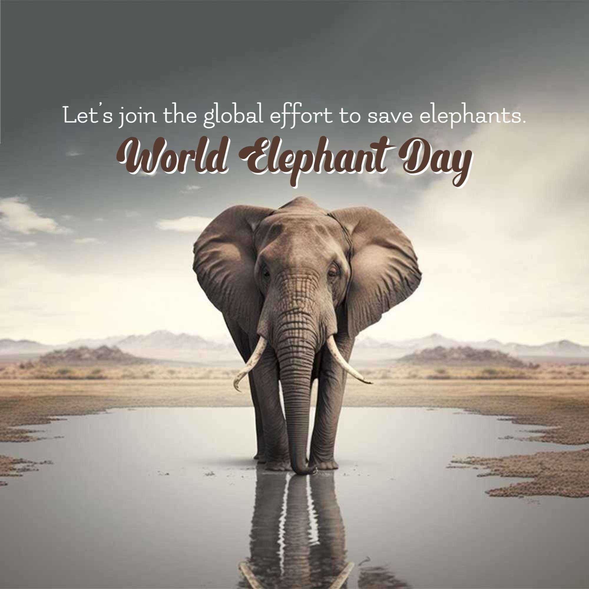 World Elephant Day
