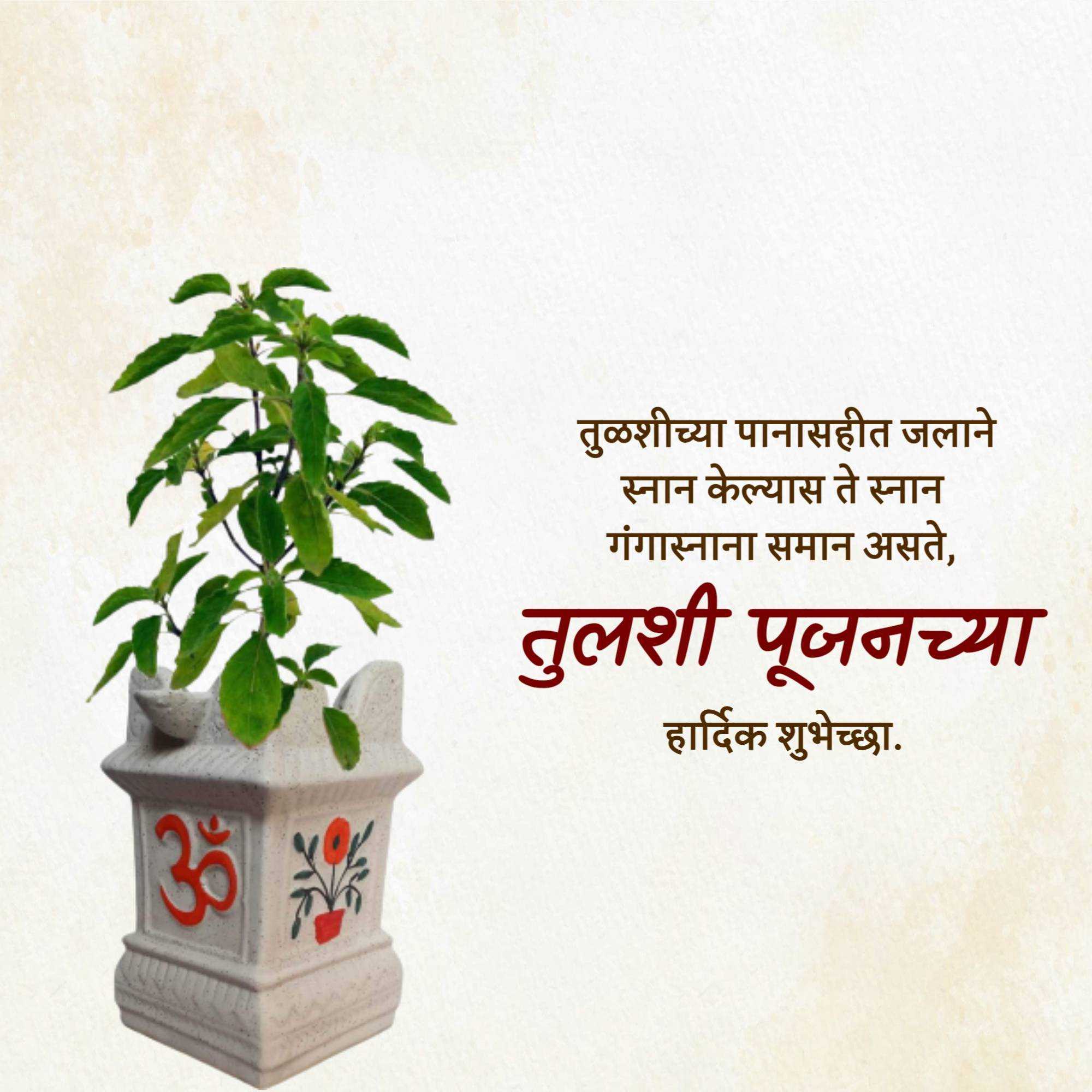 tulsi_pujan