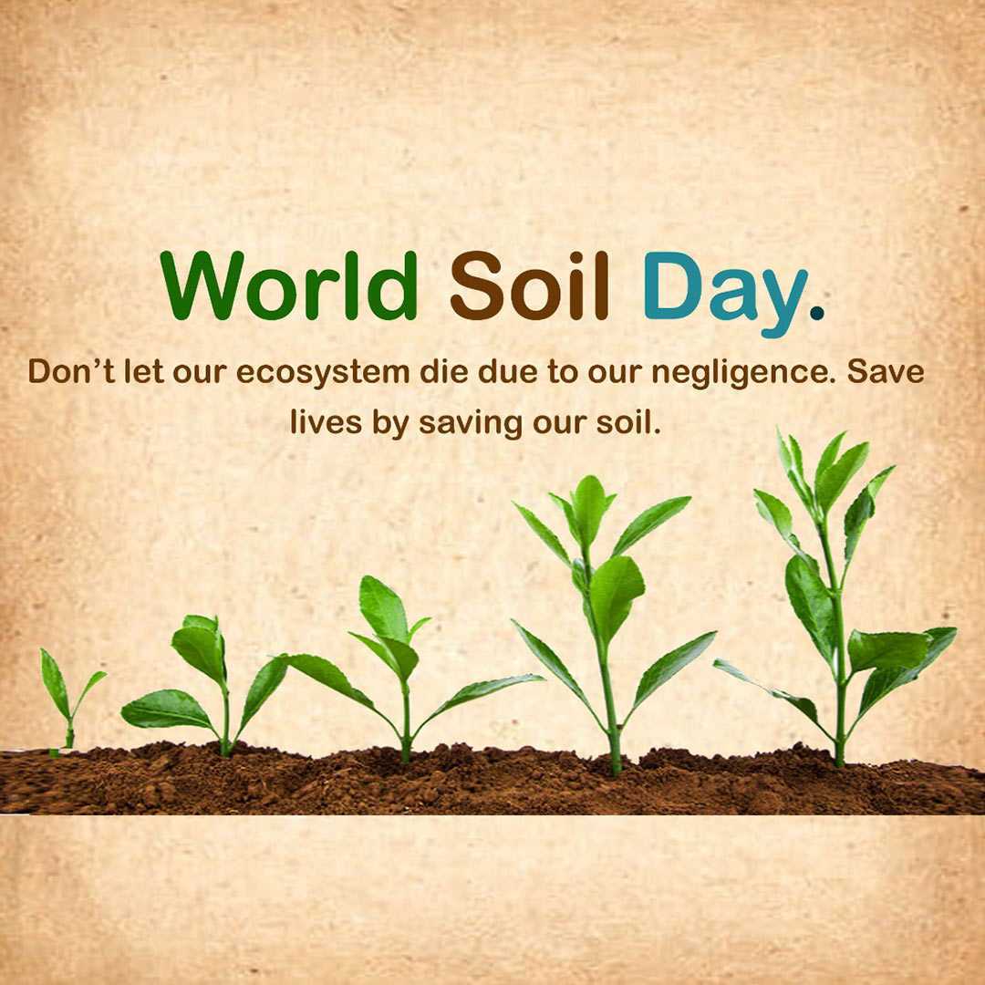 world_soil_day