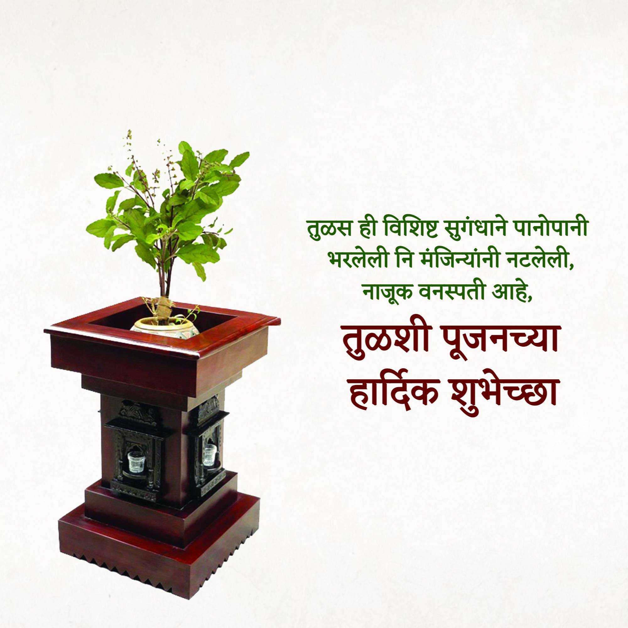tulsi_pujan
