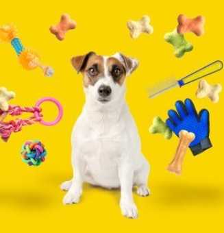 Pet Supplies And Services