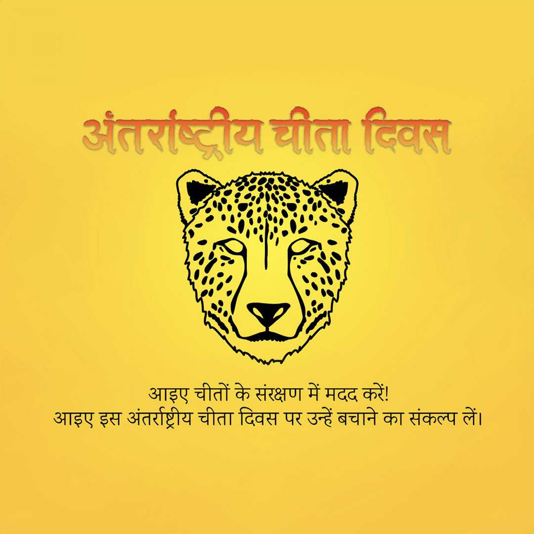 international_cheetah_day