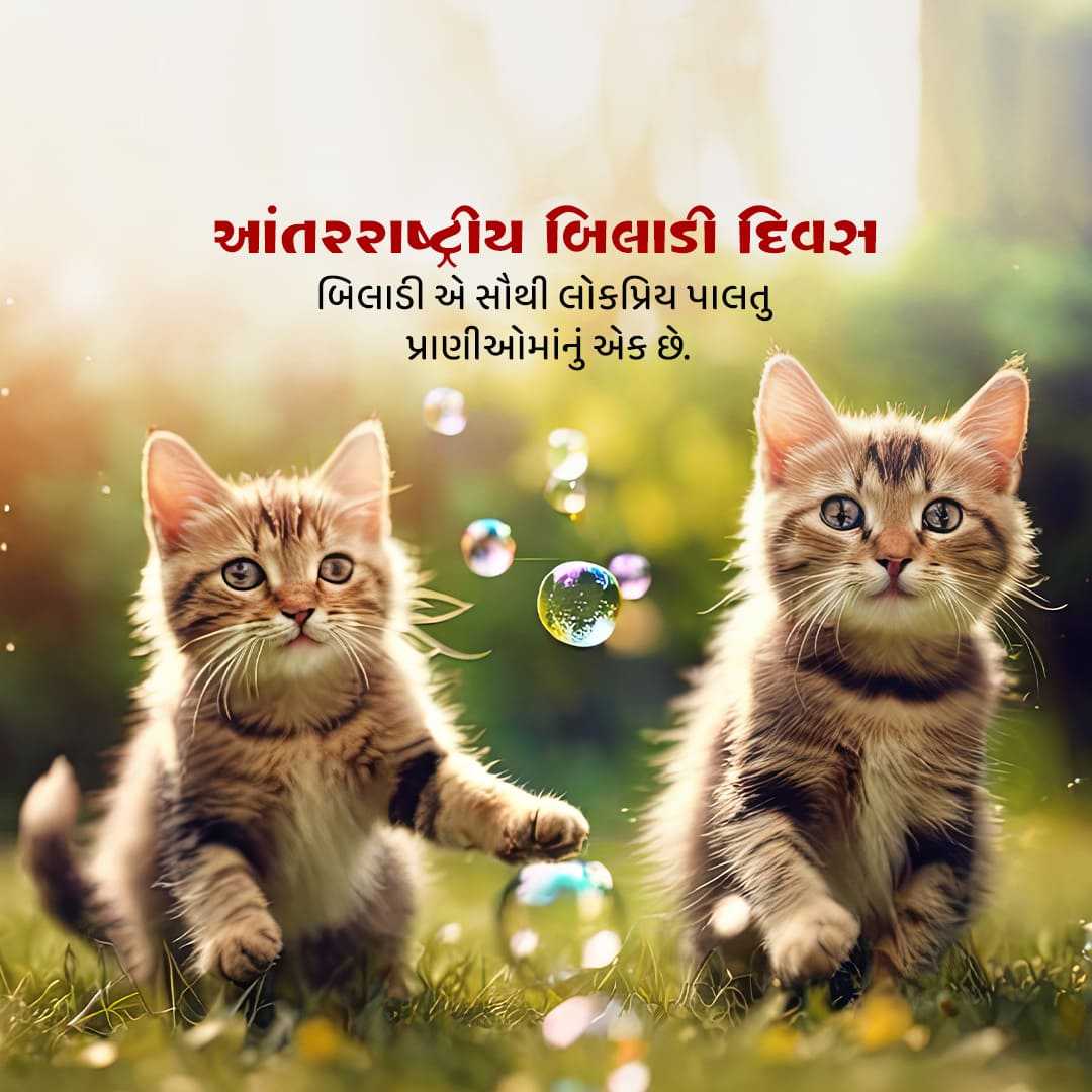 Good Morning
