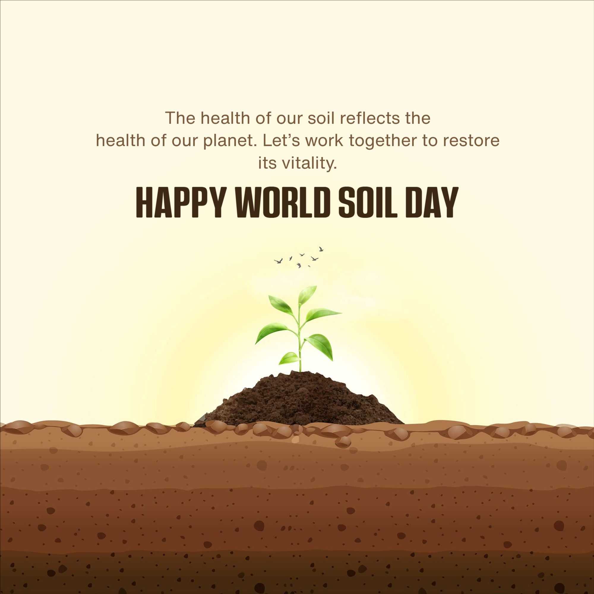 world_soil_day