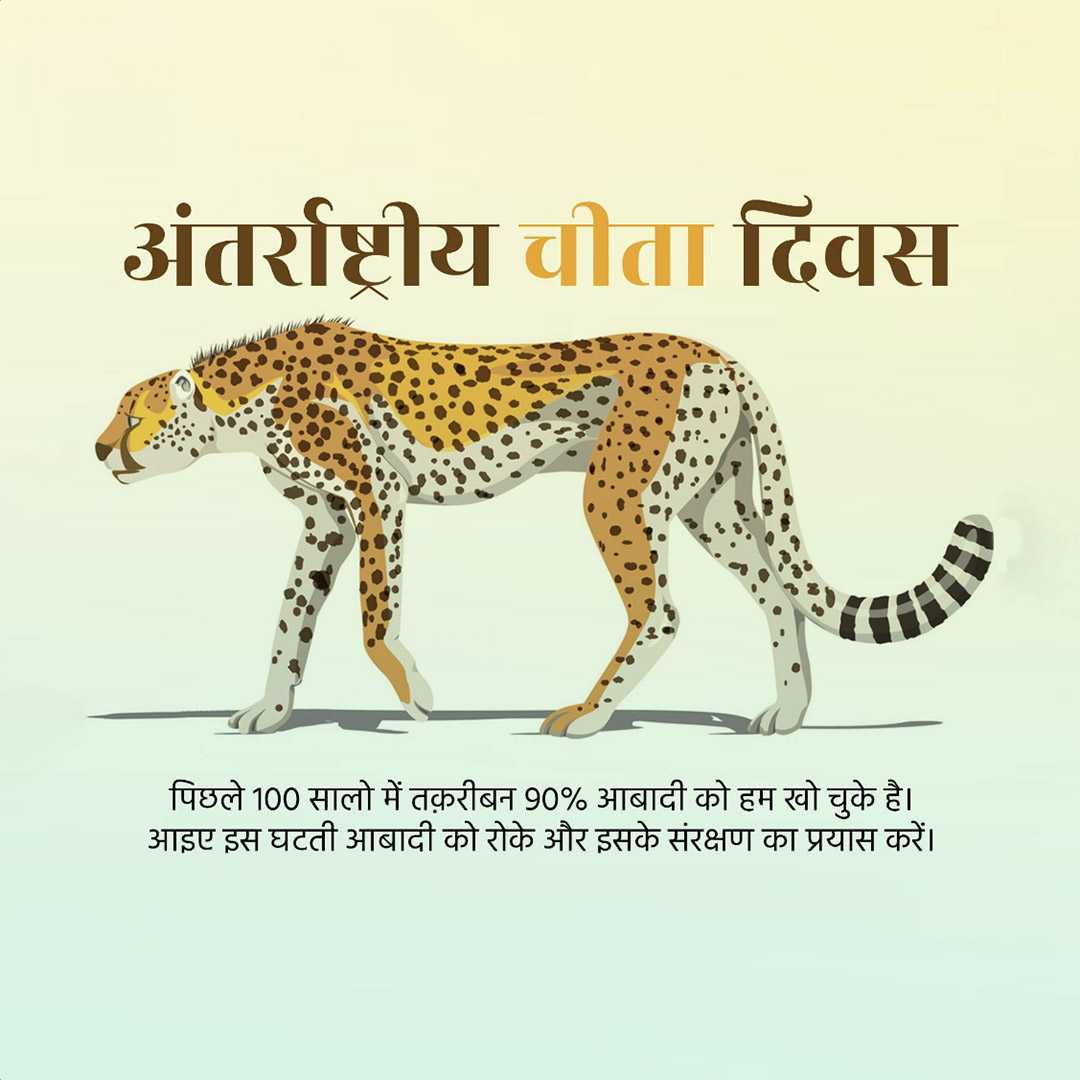 international_cheetah_day