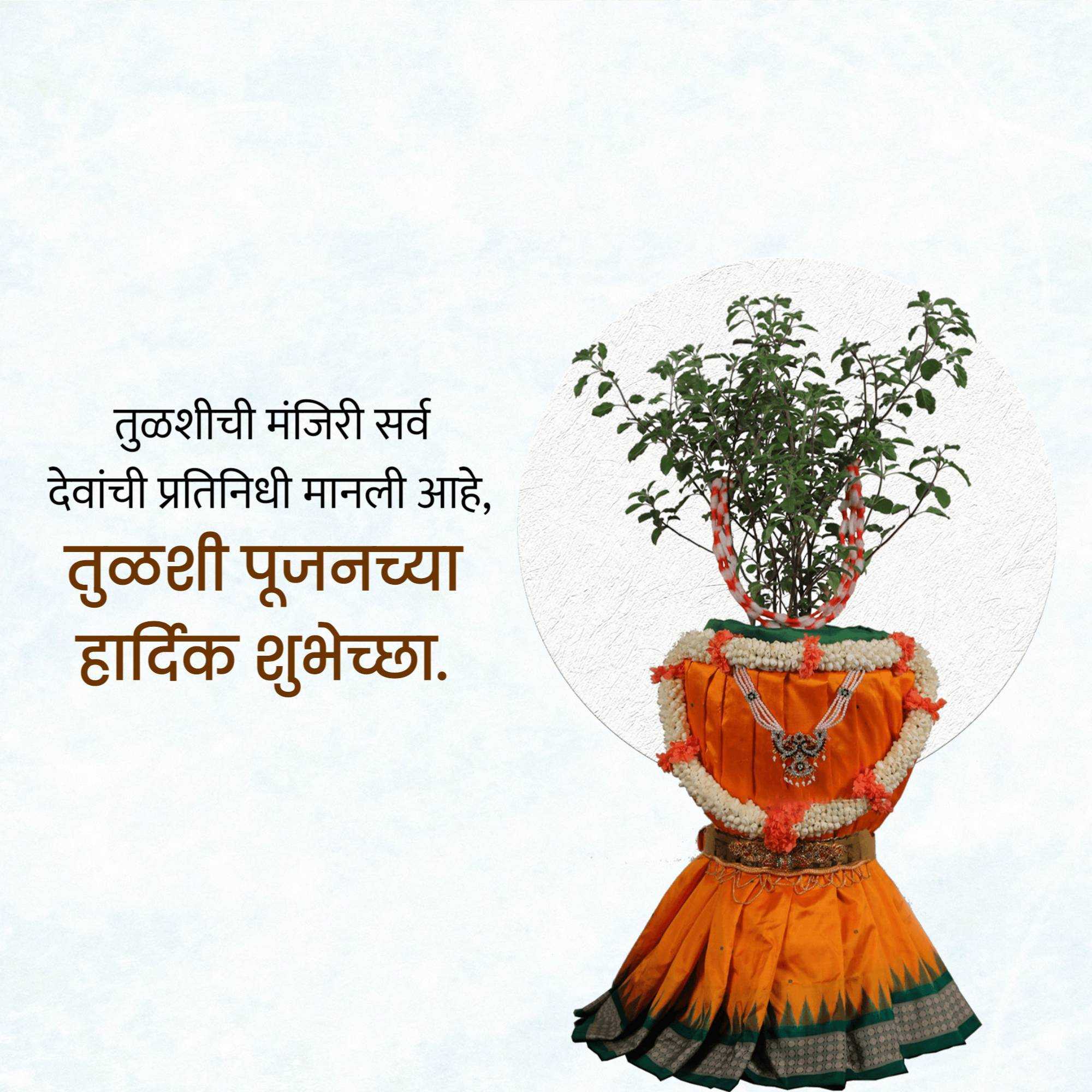 tulsi_pujan