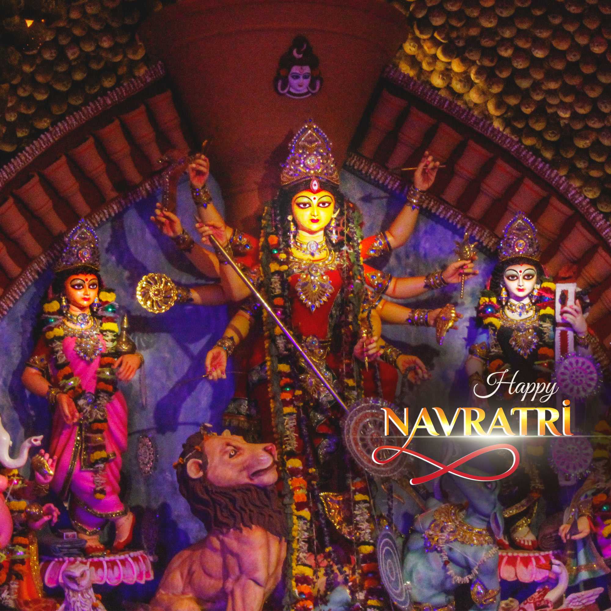 navratri_exclusive_collection