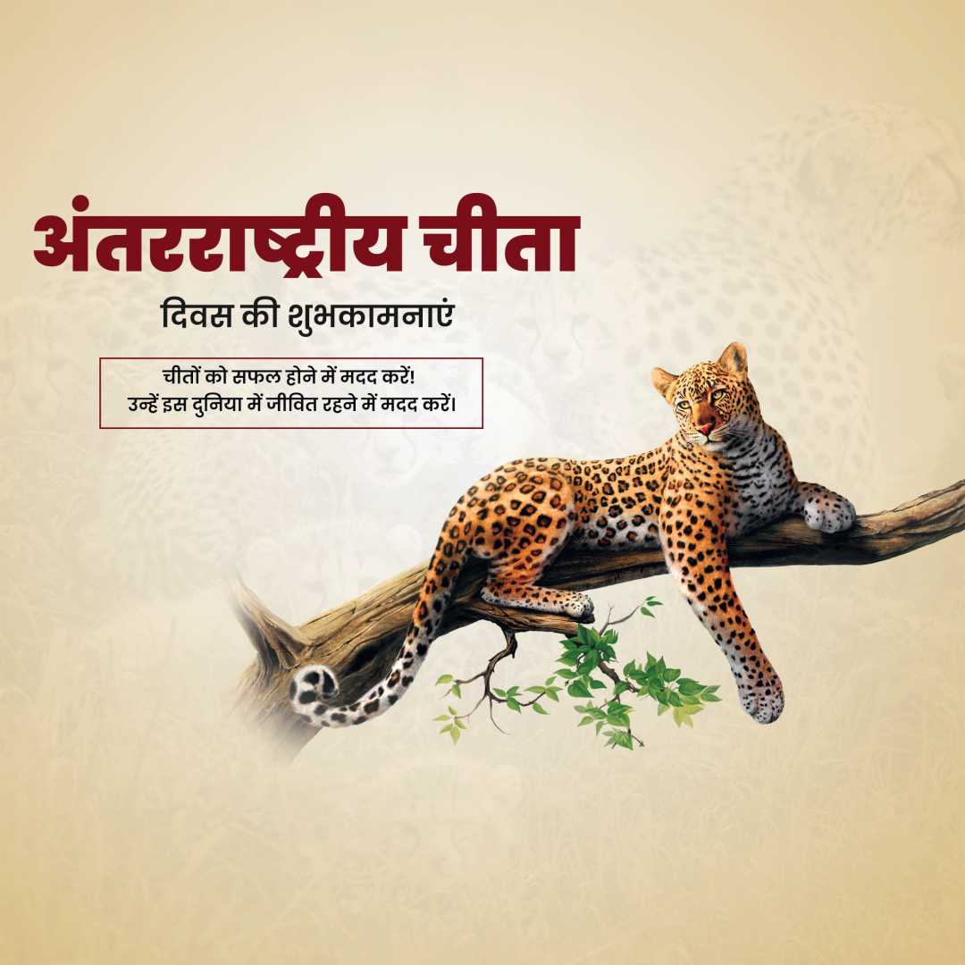 international_cheetah_day