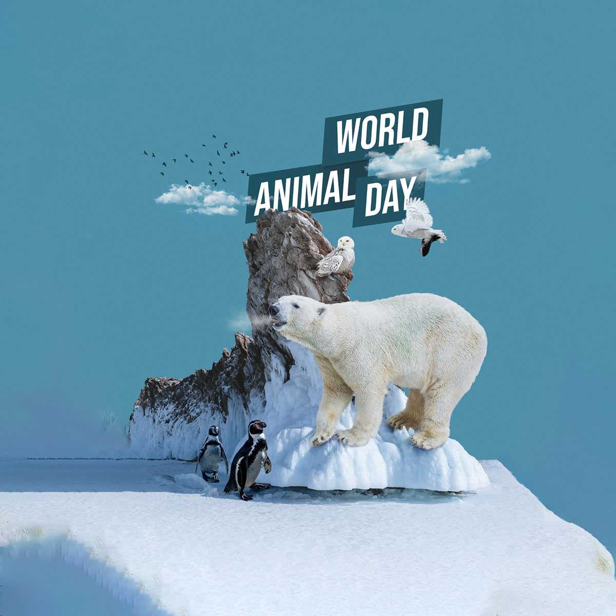 world_animal_day