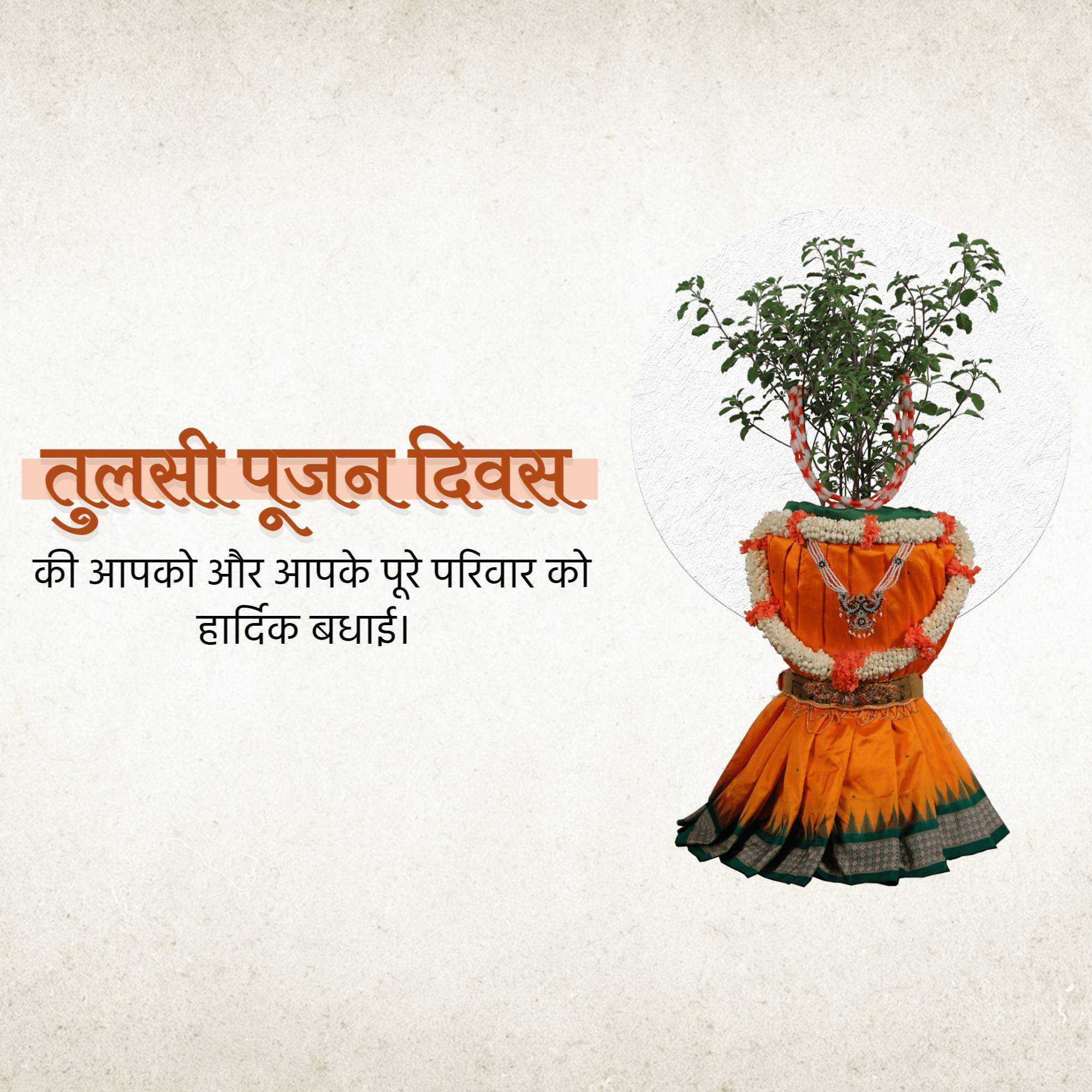 tulsi_pujan