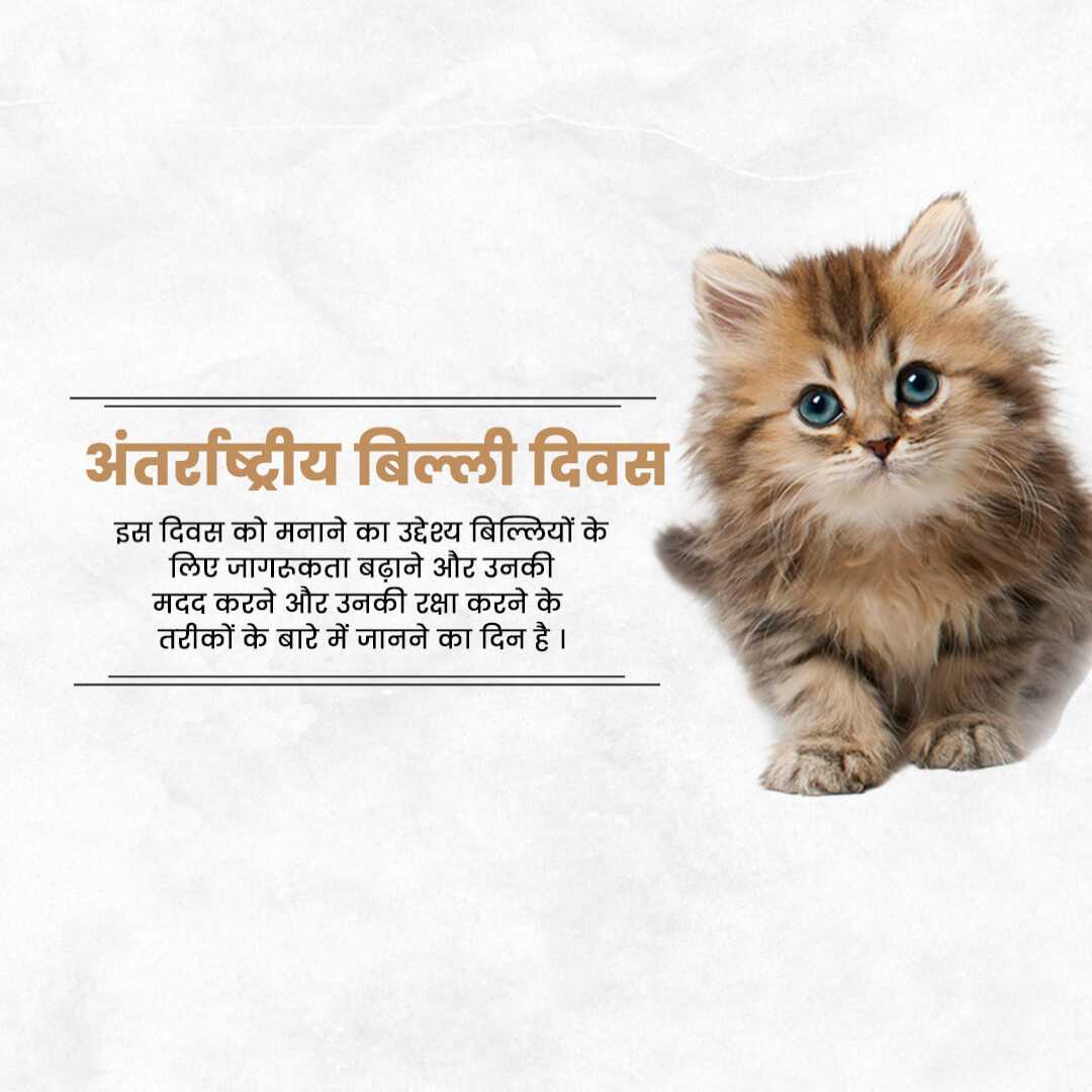Publicity Poster