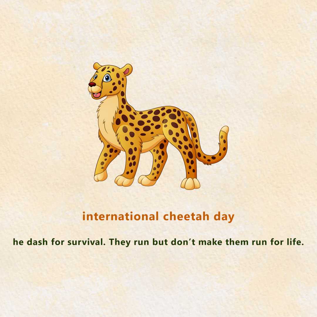 international_cheetah_day