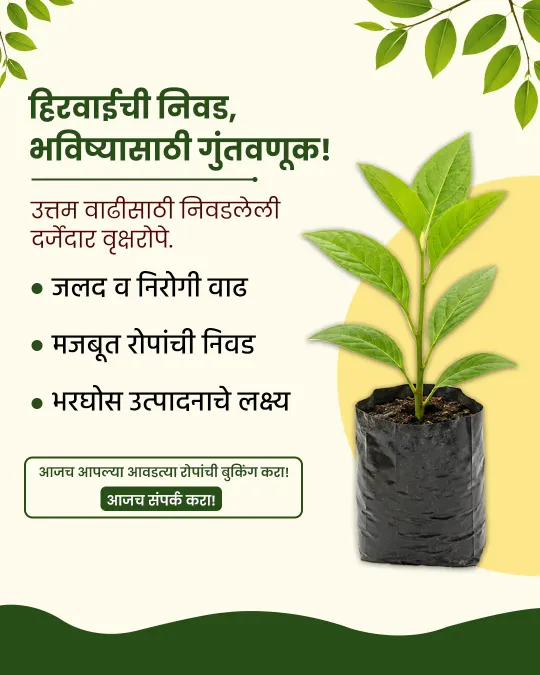 Agro Nursery
