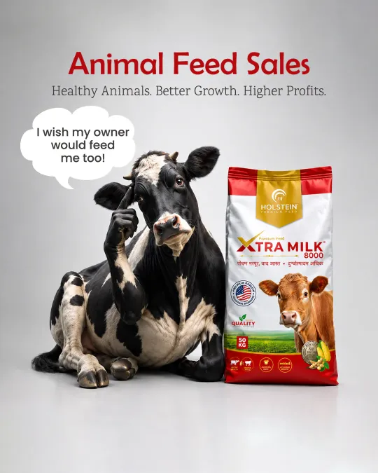 Animal Feed Sale