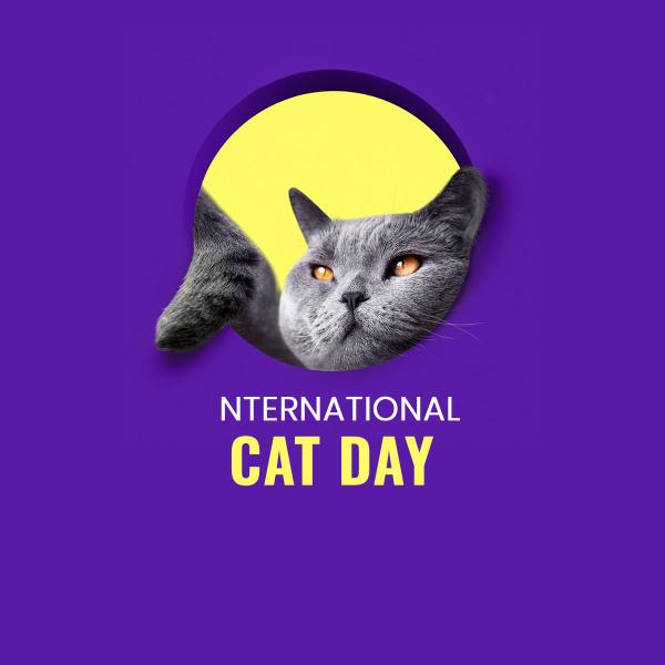World Cat Day