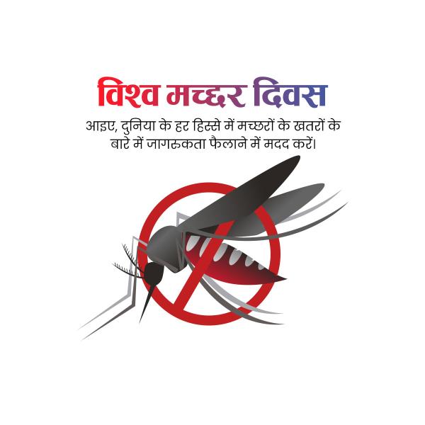 World Mosquito Day