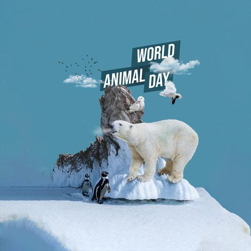World Animal Day